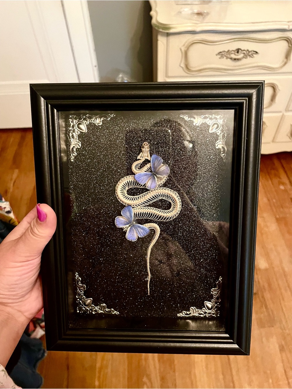 Framed Real Snake Skeleton Real Butterflies On Glitter Background